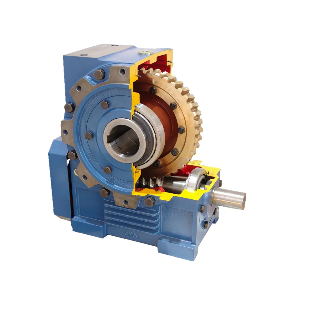 C Series double-enveloping worm gear reducer - Image 2